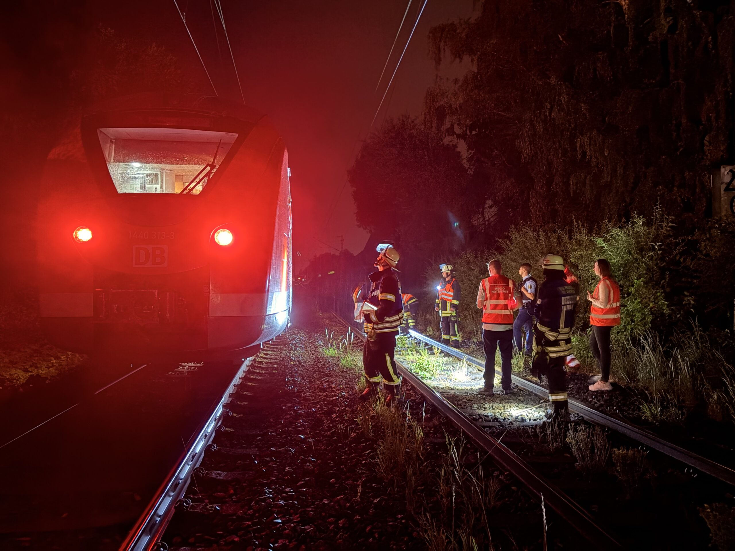 Zug kollidiert mit Baum – 52 Passagiere mussten evakuiert werden