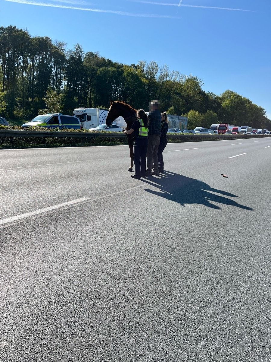 Im Geistergalopp über die A2